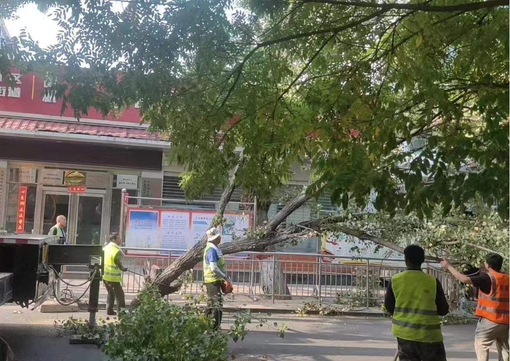 太原杏花岭区敦化坊街道：多方联动消隐患解民忧