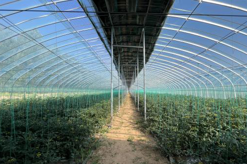 太原娄烦县静游镇：产业发展绘就致富新画卷