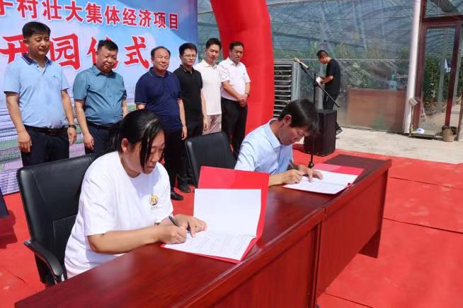 太原古交市邢家社乡：绿色经济为集体经济注入新活力