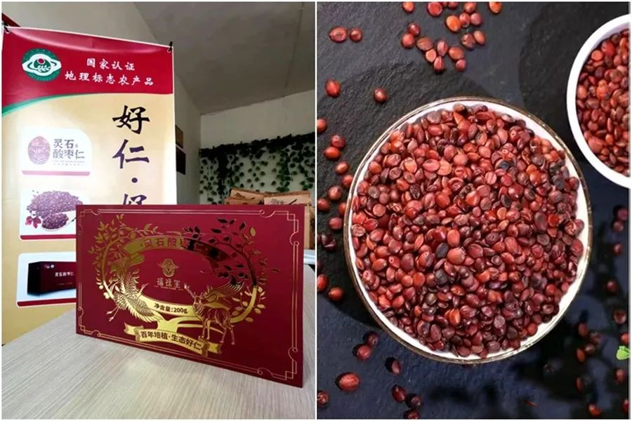 图片6_副本.png