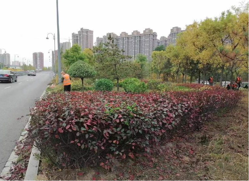太原万柏林区城市综合服务中心：抢抓金秋时节  提升园林品质