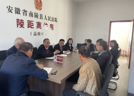 南陵黄墓法庭“陵”距离司法服务助力乡村振兴