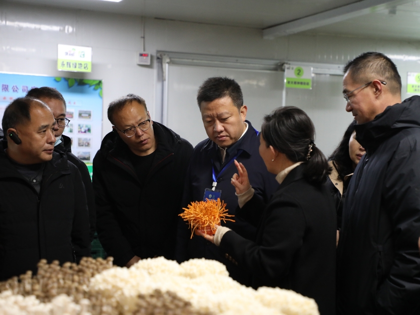 微信截图_20231213112824.png