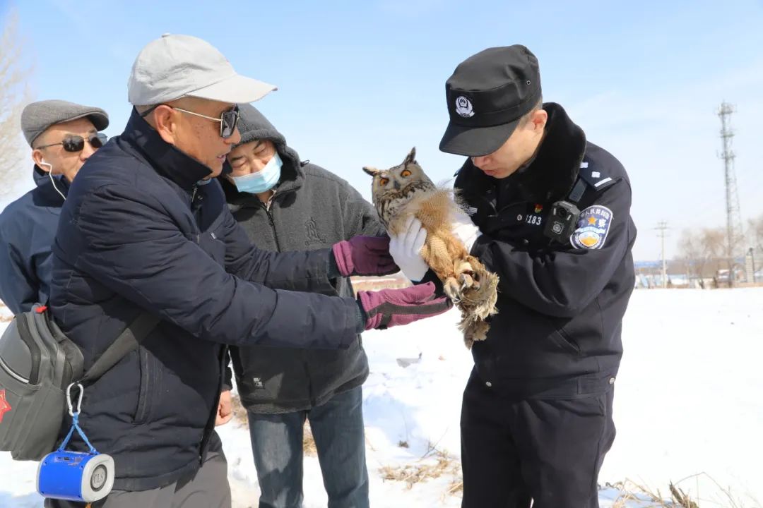 长治潞城：警民携手  救助“大眼萌仔”猫头鹰