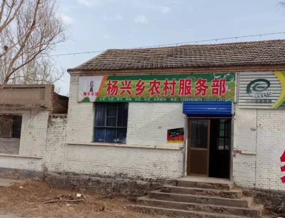 赵建宾：返乡创业“新农人”​​ 助力春耕促振兴