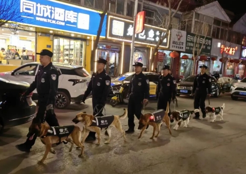 太原娄烦：警犬助力巡逻防控   全力守护平安“清明”