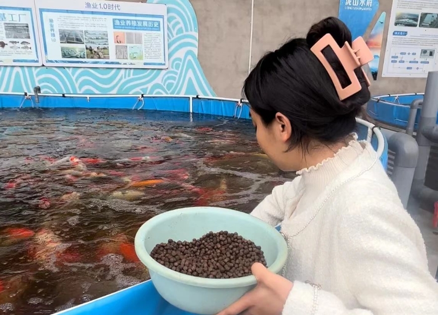 微信截图_20240407153132.png