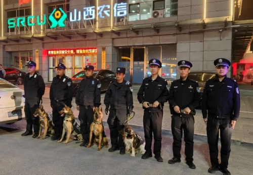 太原娄烦：夜间巡逻不间断  警犬出击护平安