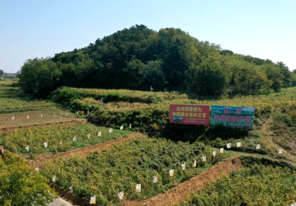 微信截图_20240425110208.png 微信截图_20240425110208.png