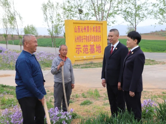 长治检察院：守护太行深处的“金珠子”