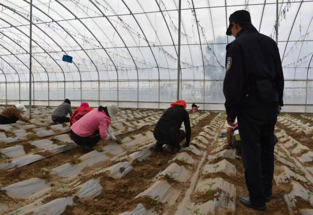 朔州应县：春耕时节“警”相随，田间地头护农安