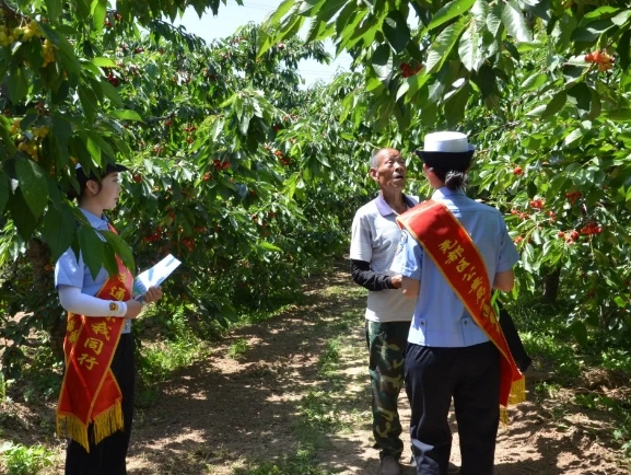 临汾公安交警走进辖区农村樱桃园里话安全