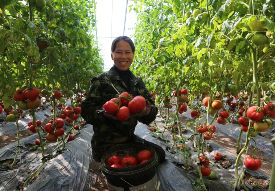 微信截图_20240531105450.png 微信截图_20240531105450.png