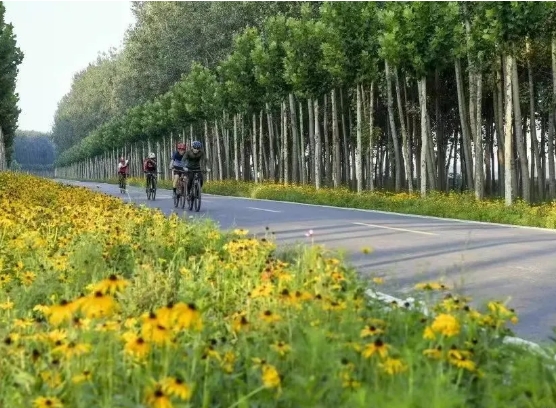 微信截图_20240607151813.png 微信截图_20240607151813.png