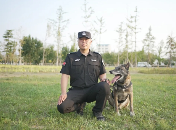 长治平顺警犬“追风”入选“超级狗狗”！