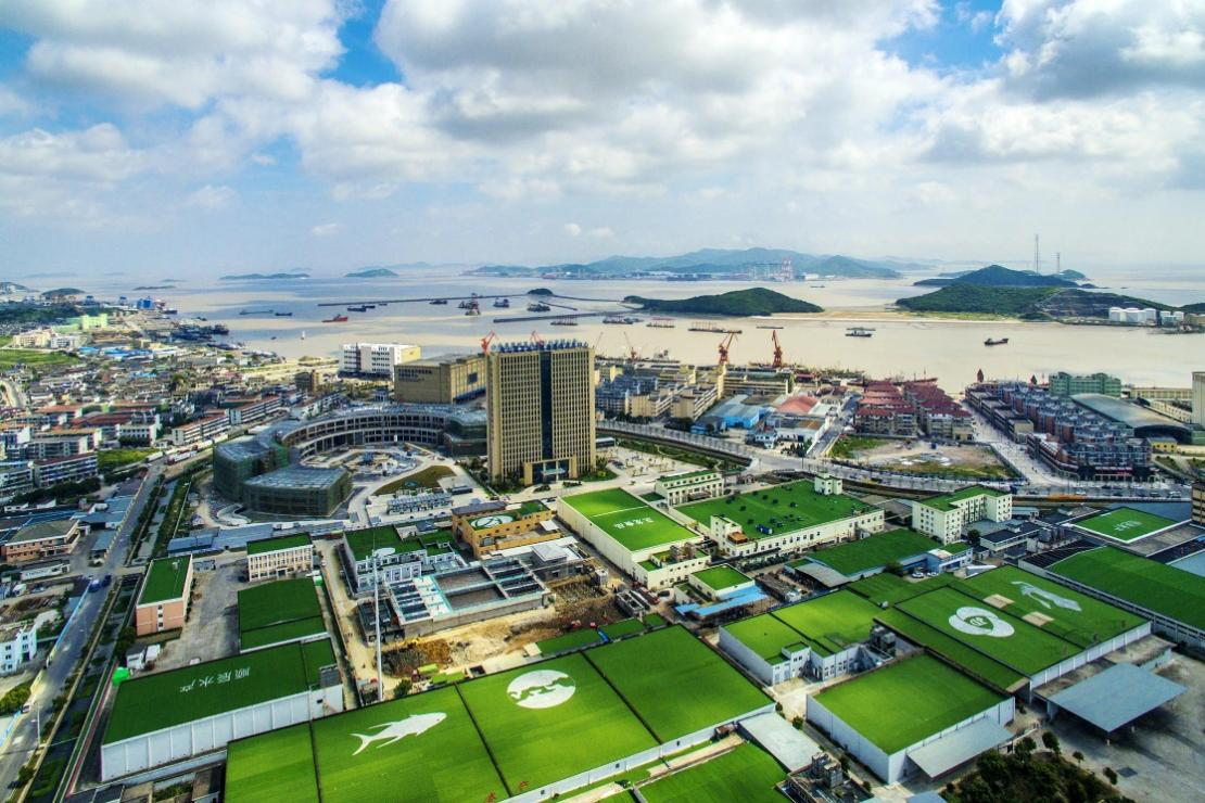 浙江：新园区亮相舟山国家远洋渔业基地