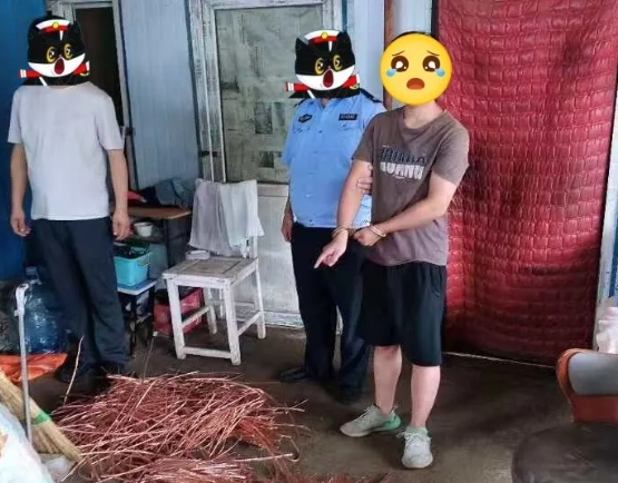 志同“盗”合？贼兄弟双双落网！