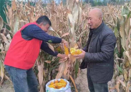 微信截图_20241011160851.png 微信截图_20241011160851.png