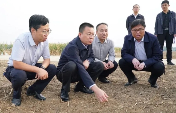 微信截图_20241011165240.png 微信截图_20241011165240.png