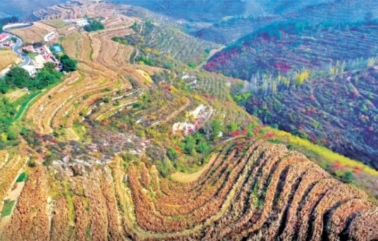 微信截图_20241011182147.png 微信截图_20241011182147.png