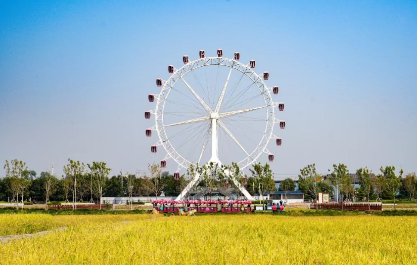 微信截图_20241012165806.png