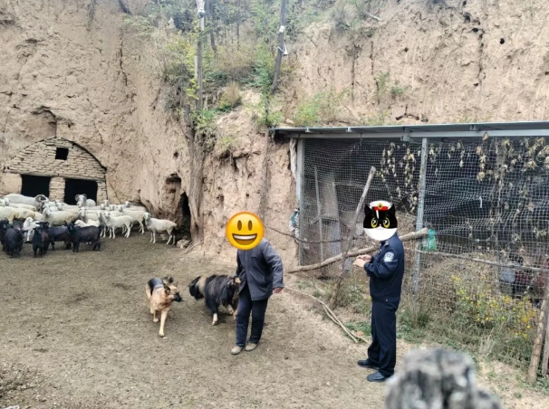 长治屯留公安：通关现实版“羊了个羊”！