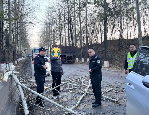 微信截图_20241107234924.png