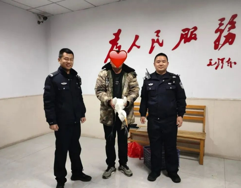爱心接力 暖心呵护——运城绛县警民携手救助一只“落难”国家一级保护动物黄嘴白鹭