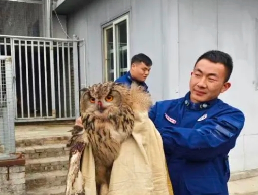 微信截图_20241129100507.png 微信截图_20241129100507.png