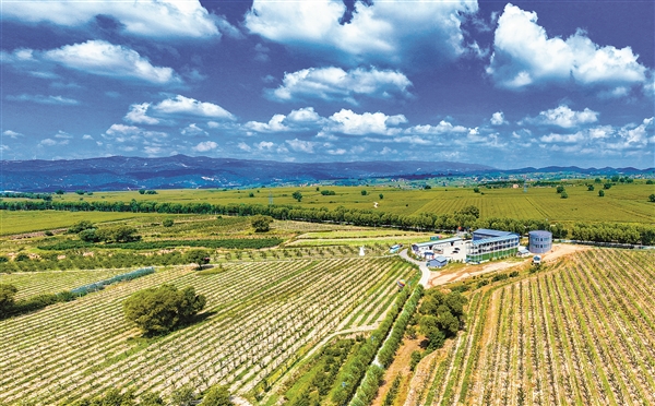 res04_attpic_brief.jpg res04_attpic_brief.jpg