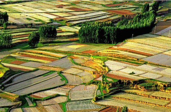 微信截图_20241202231236.png