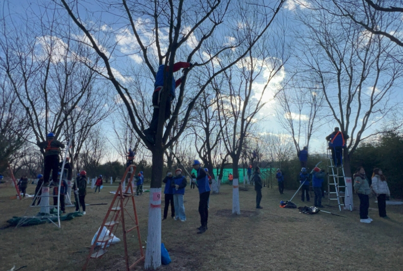 微信截图_20241205190919.png