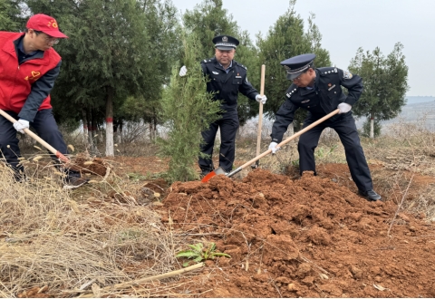 微信截图_20241211170426.png 微信截图_20241211170426.png