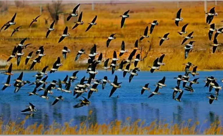 微信截图_20250202112049.png 微信截图_20250202112049.png