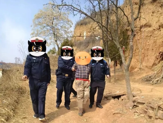 微信截图_20250311232529.png