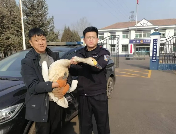 微信截图_20250313092120.png 微信截图_20250313092120.png
