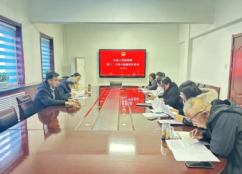 坦诚交流思想 凝心聚谋发展——长治沁县人民检察院党小组召开2024年度组织生活会