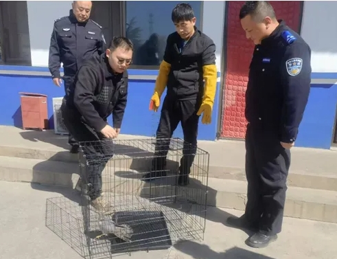 微信截图_20250321232212.png