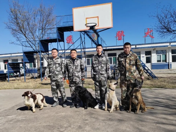 晋中平遥：春训正当时  警犬砺锋芒