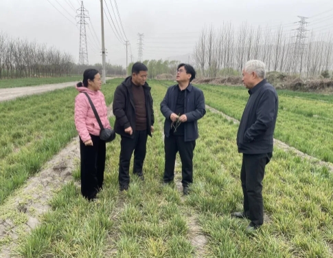微信截图_20250329210912.png