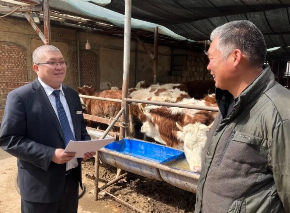 微信截图_20250403080120.png 微信截图_20250403080120.png