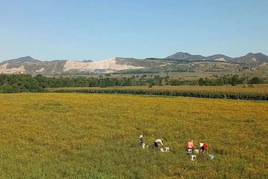 微信截图_20250411211008.png 微信截图_20250411211008.png