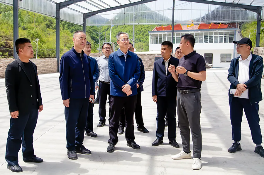 晋城市人大常委会主任常青在阳城蟒河镇调研走访乡村振兴工作
