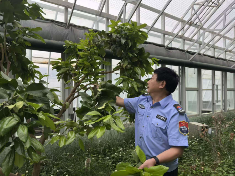 义心植绿绘丰收  匠心耕耘写担当——新疆阿勒泰市雪都义警梁百