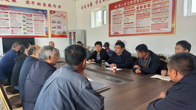 忻州原平市委常委、副市长王寅深入大林乡召开软弱涣散基层党组织