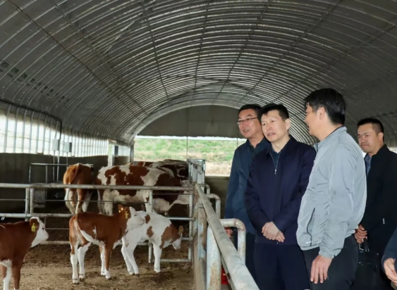 忻州宁武县副县长杨茂文在薛家洼乡调研