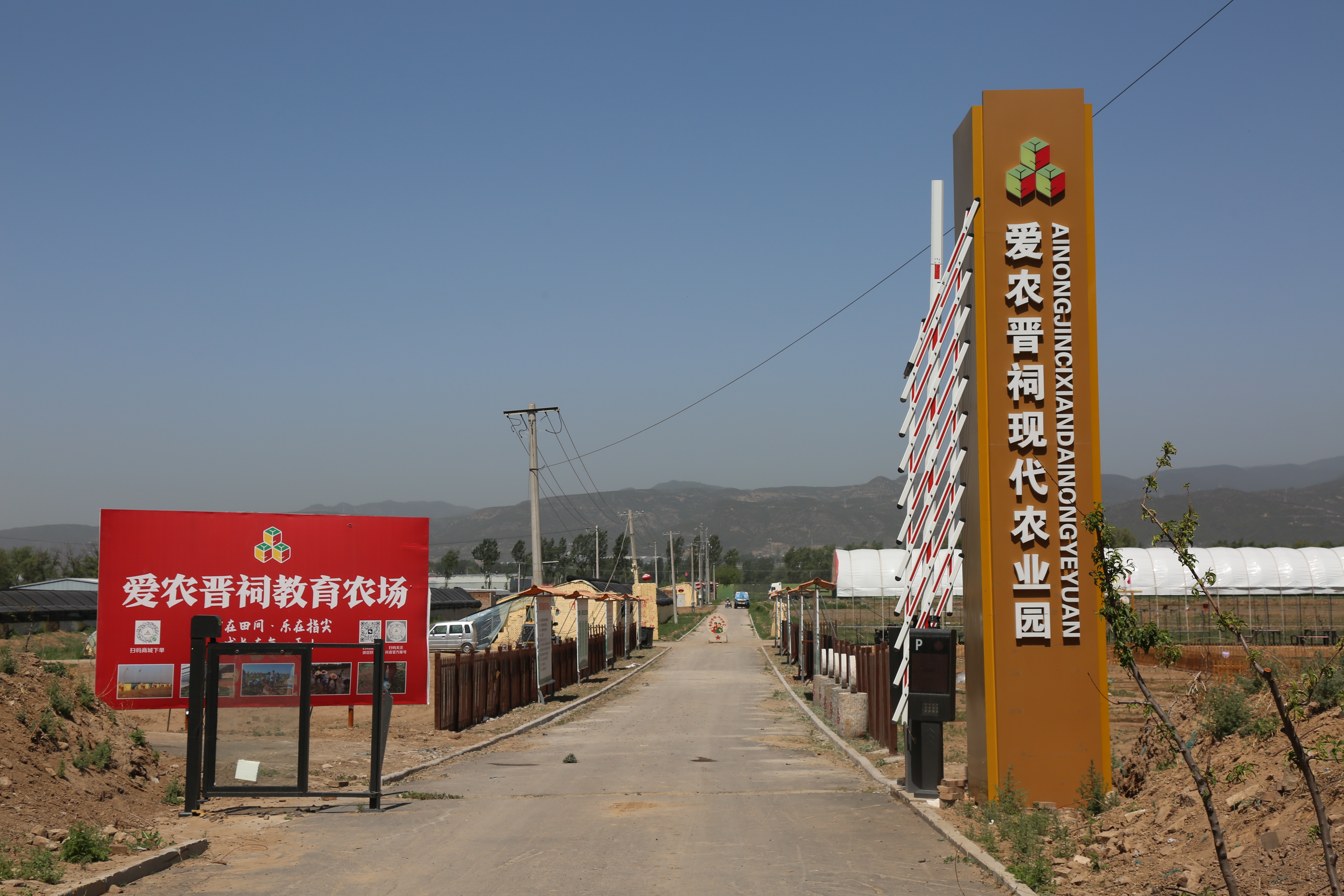 太原晋源区：盐碱地上种出“致富瓜”