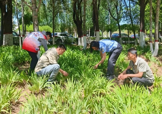 微信截图_20250606214238.png