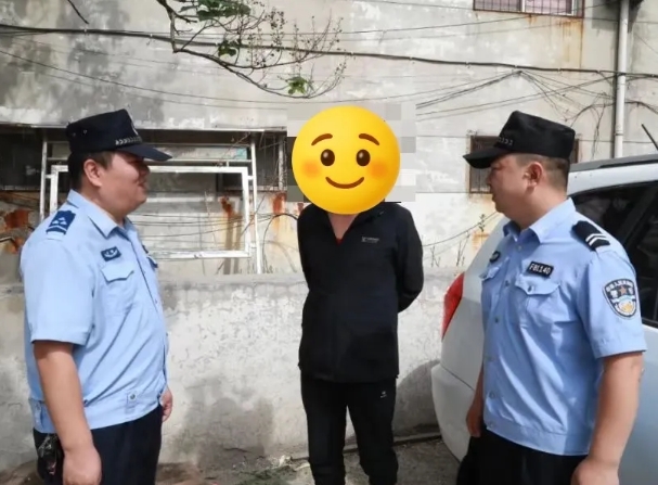 长治潞城：四只羊“逛”大街，警民联手上演“寻亲记”