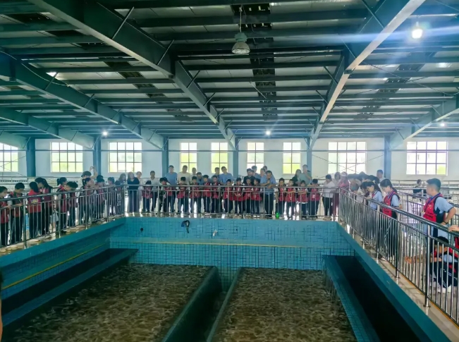 微信截图_20250624131936.png